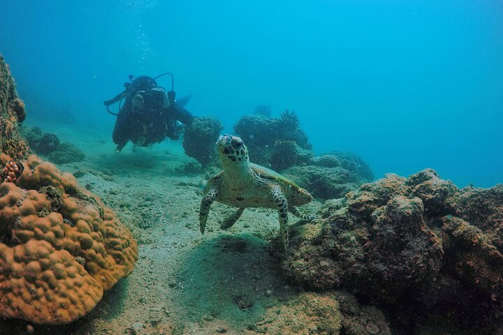 Scuba Diving in Neil Island